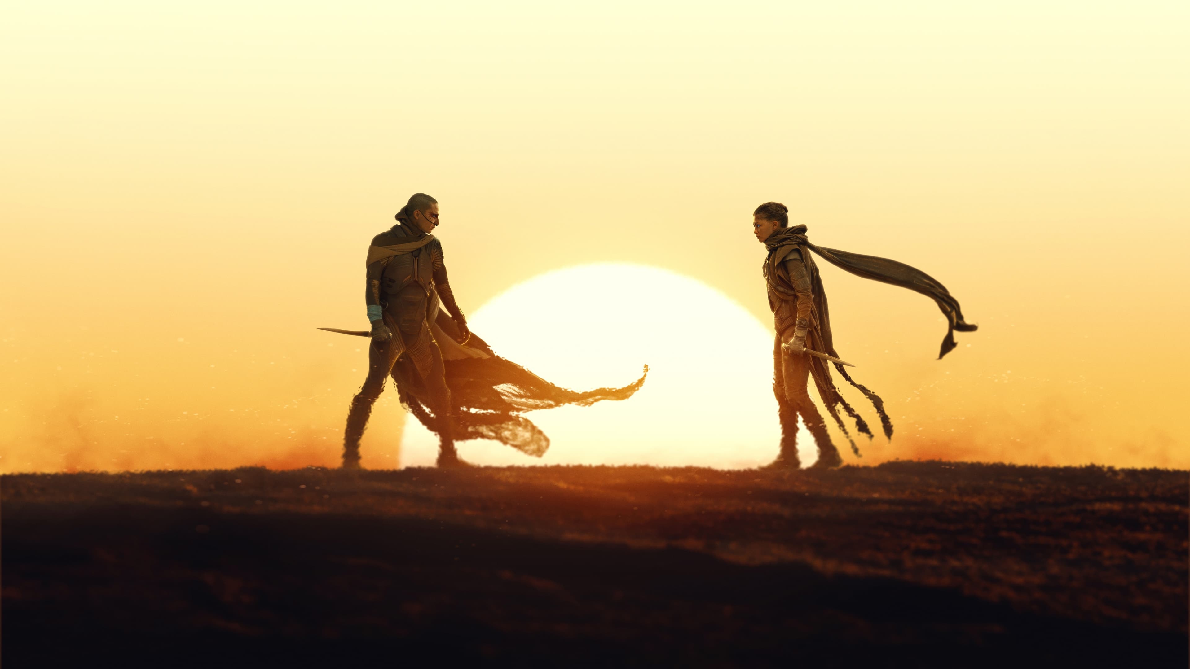 Cover image for: DUNE : PART THREE